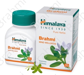 Brahmi