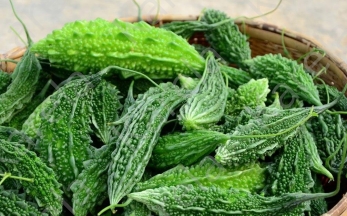 Karela